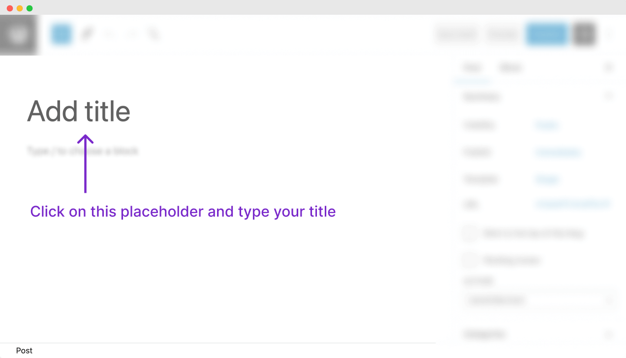WordPress Post title field