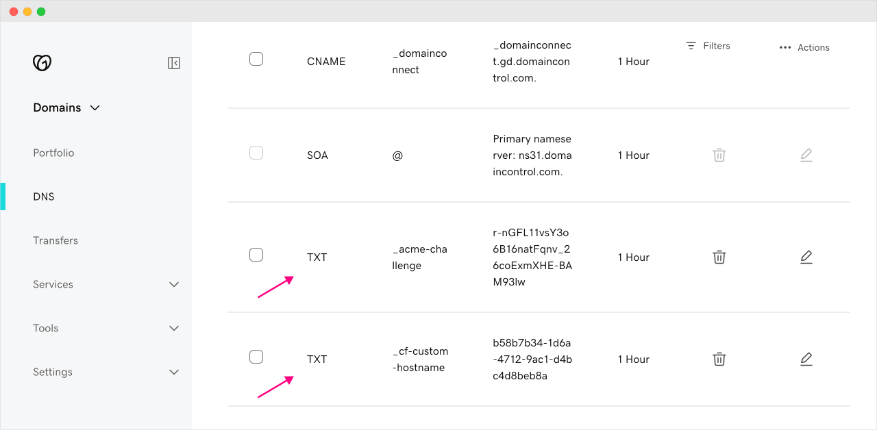 Updated DNS records of the purchased Domain
